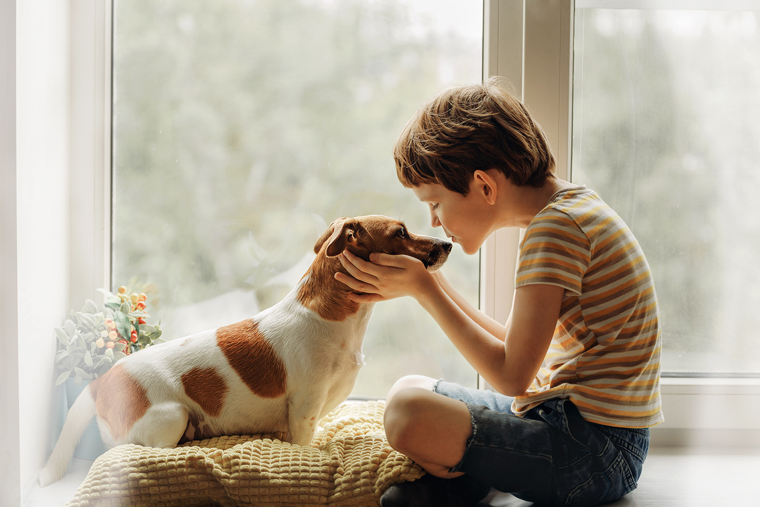 Assurance Santé Chien