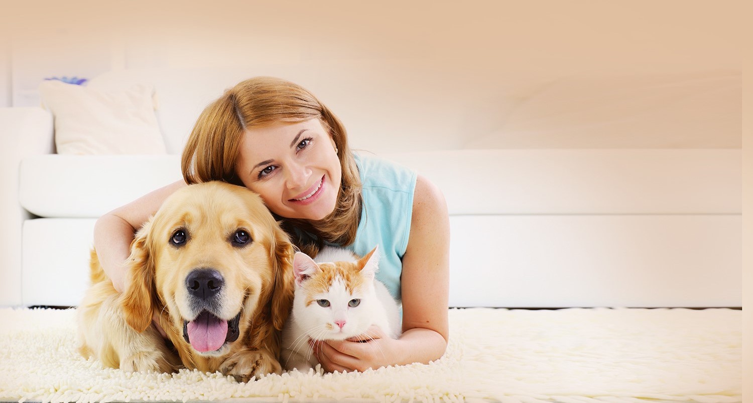 Assurance Santé Animale