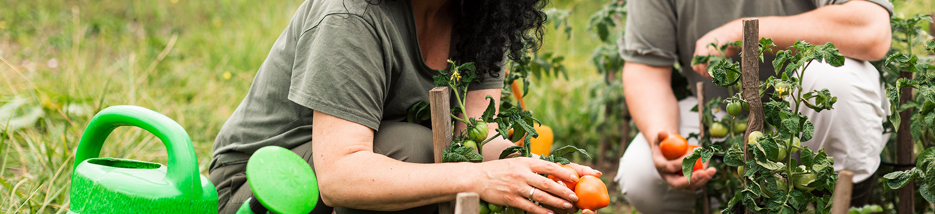 jardin balcon jardiner au naturel