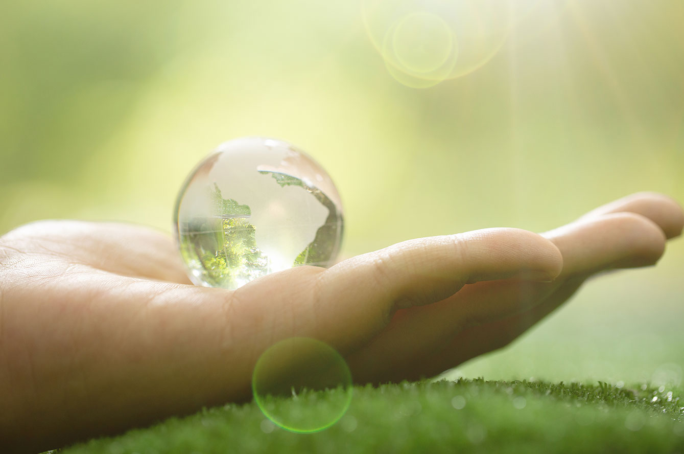 Eco responsable, pour plus de santé et de bien être