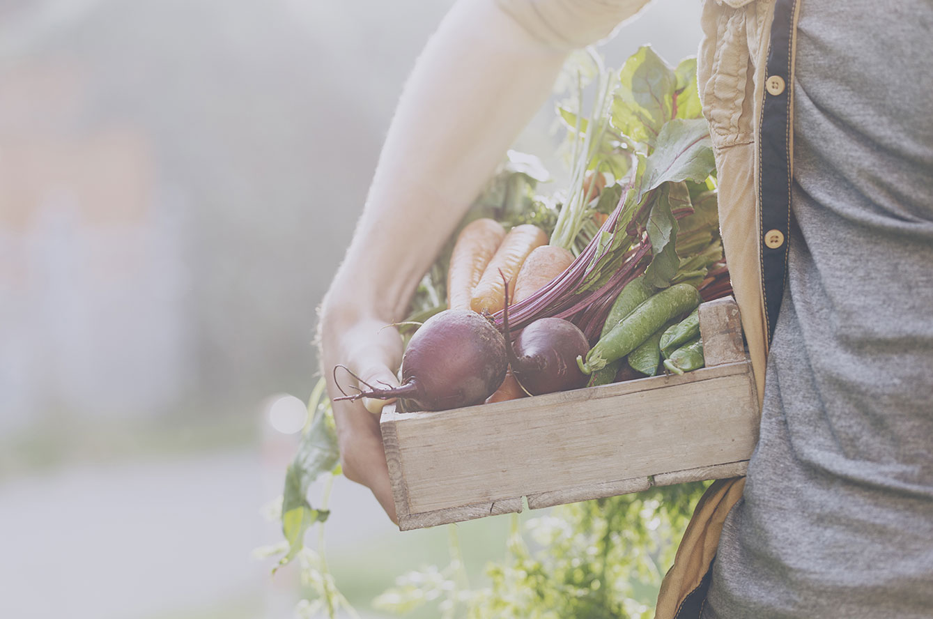 Les fruits et légumes d’automne : bien les choisir