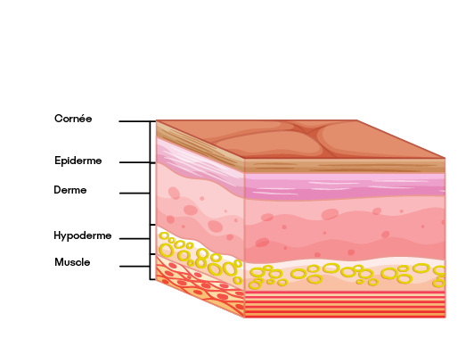 Quel aspect sur votre peau ?