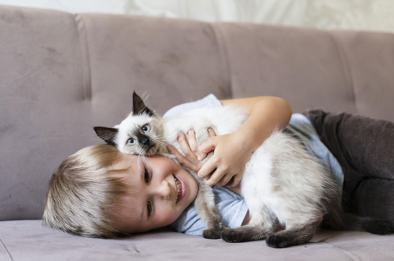 adoption chat