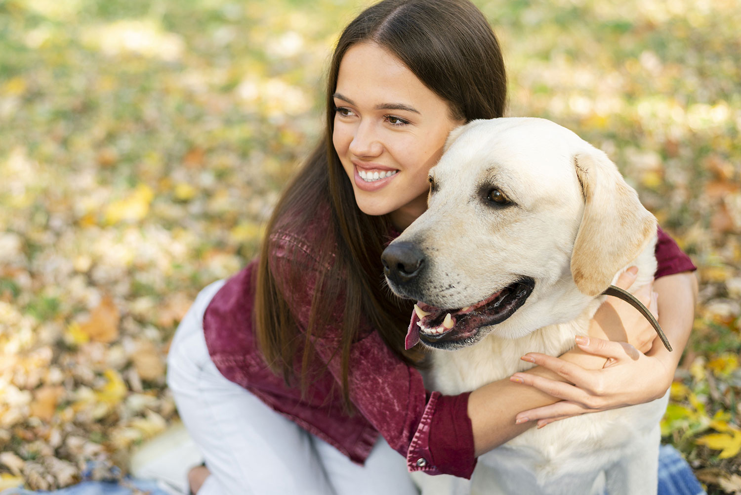 Conseils Santé animale Radiance Mutuelle