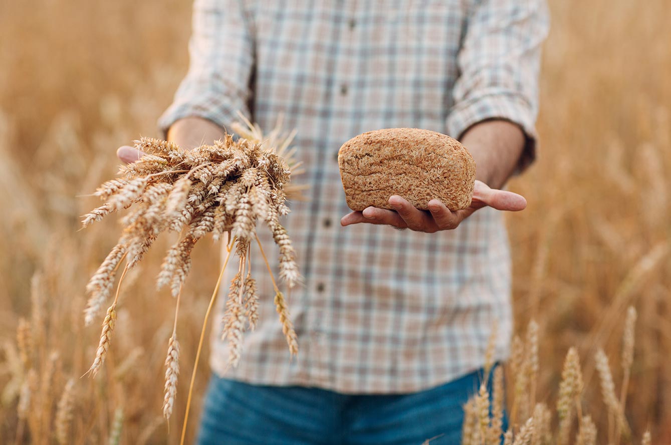 gluten bon mauvais santé