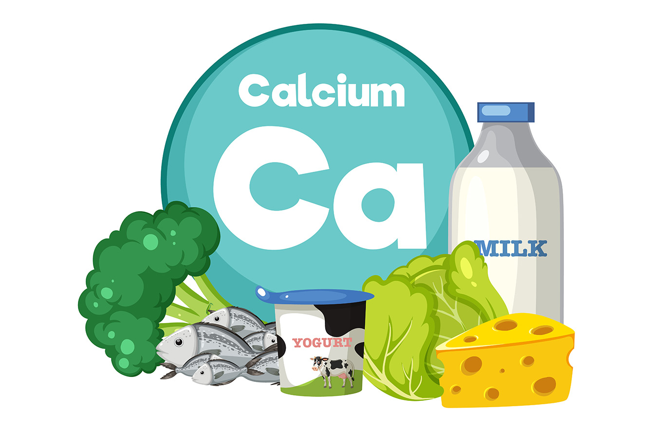Le calcium : un nutriment essentiel pour votre santé 