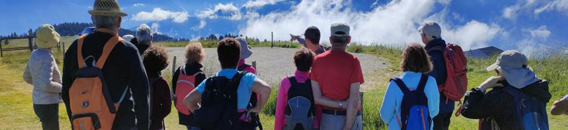 Groupe de personne de dos en balade