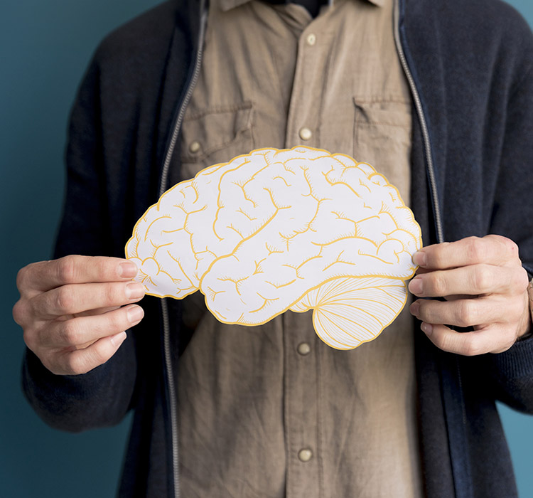 un homme tient dans ses mains un cerveau dessiné sur papier