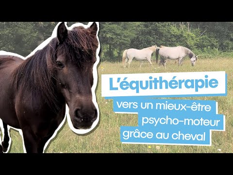 L'équithérapie : pour un mieux-être psycho-moteur grâce au cheval