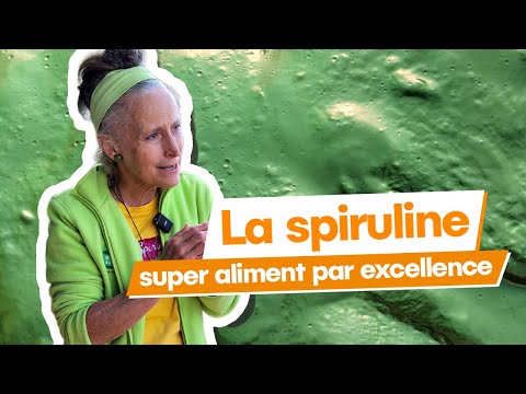 La spiruline, super aliment par excellence | SMILE