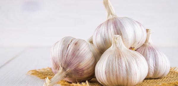 L’ail : un condiment bienveillant