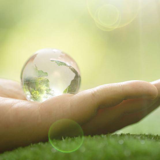 Eco responsable, pour plus de santé et de bien être