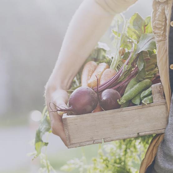 Les fruits et légumes d’automne : bien les choisir 
