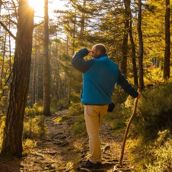 tics et puces comment les éviter ?