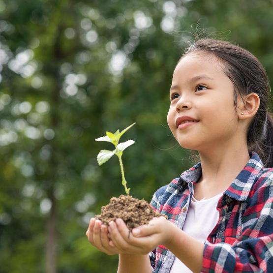 L’importance de la RSE dans une entreprise