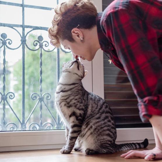 leucose féline et sida du chat