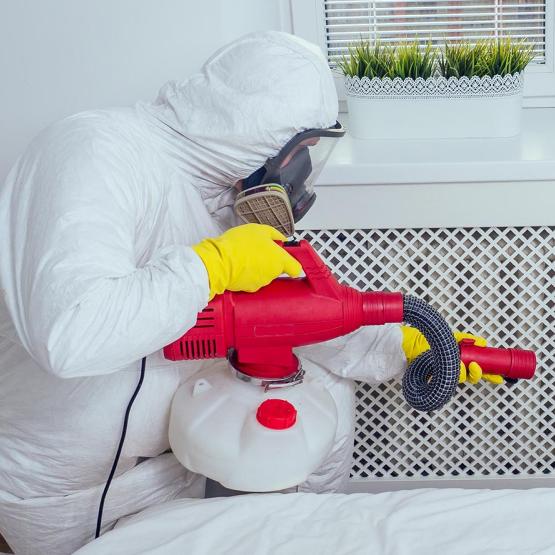 éviter et traiter les punaises de lit