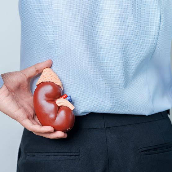 Comprendre les calculs rénaux : causes, symptômes et prévention