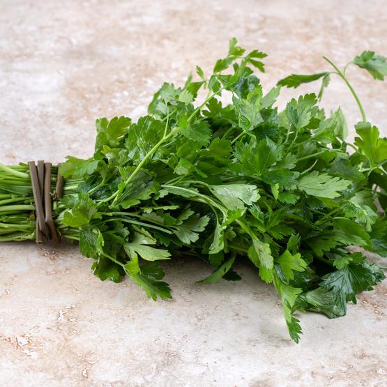 Plante photosensibilisante : les risques sur la santé et les précautions à prendre