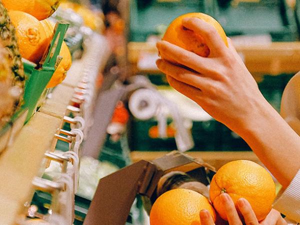 gaspillage alimentaire