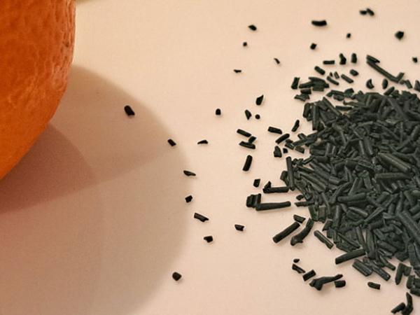 spiruline dans une assiette