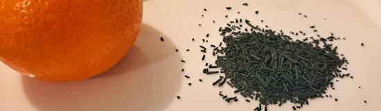 spiruline dans une assiette