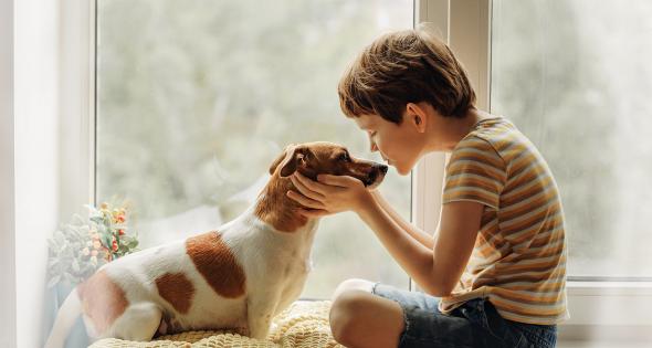Assurance Santé Chien